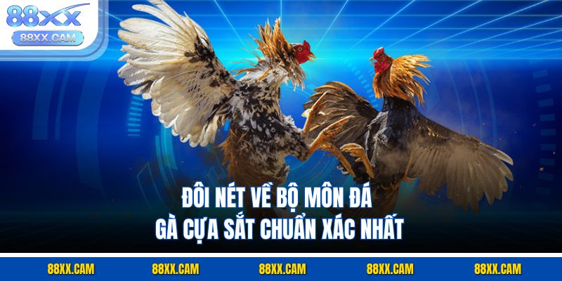 Đôi nét về bộ môn đá gà cựa sắt chuẩn xác nhất