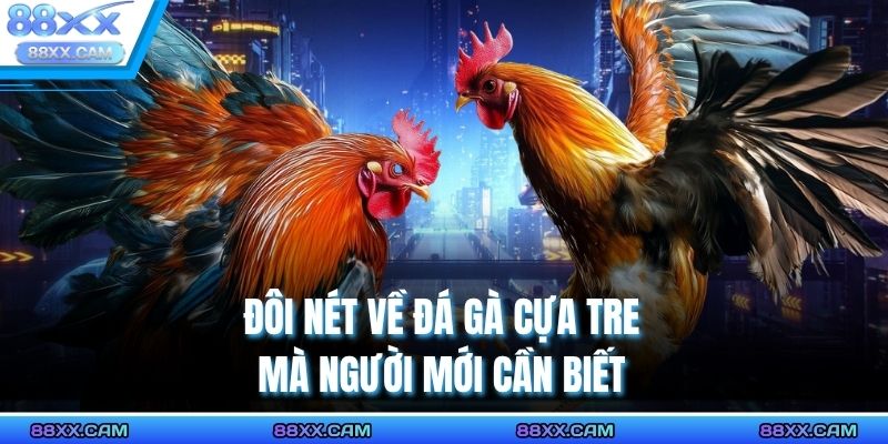 Đôi nét về đá gà cựa tre mà người mới cần biết